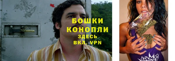 амф Каменка