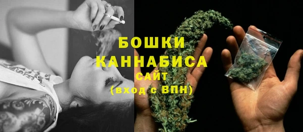 амф Каменка