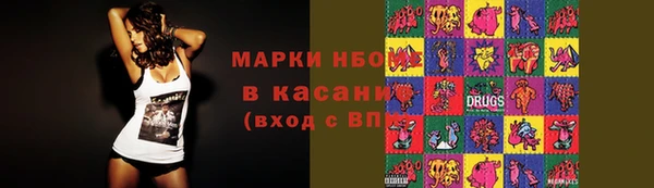 амф Каменка