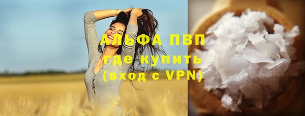 ПСИЛОЦИБИНОВЫЕ ГРИБЫ Каменногорск