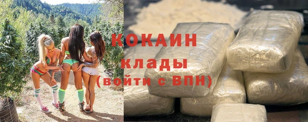ПСИЛОЦИБИНОВЫЕ ГРИБЫ Каменногорск