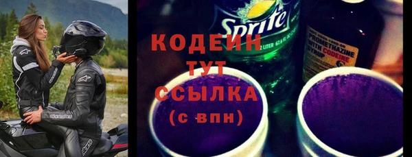 амф Каменка