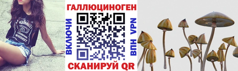 Псилоцибиновые грибы ЛСД  Купить  Пермь 